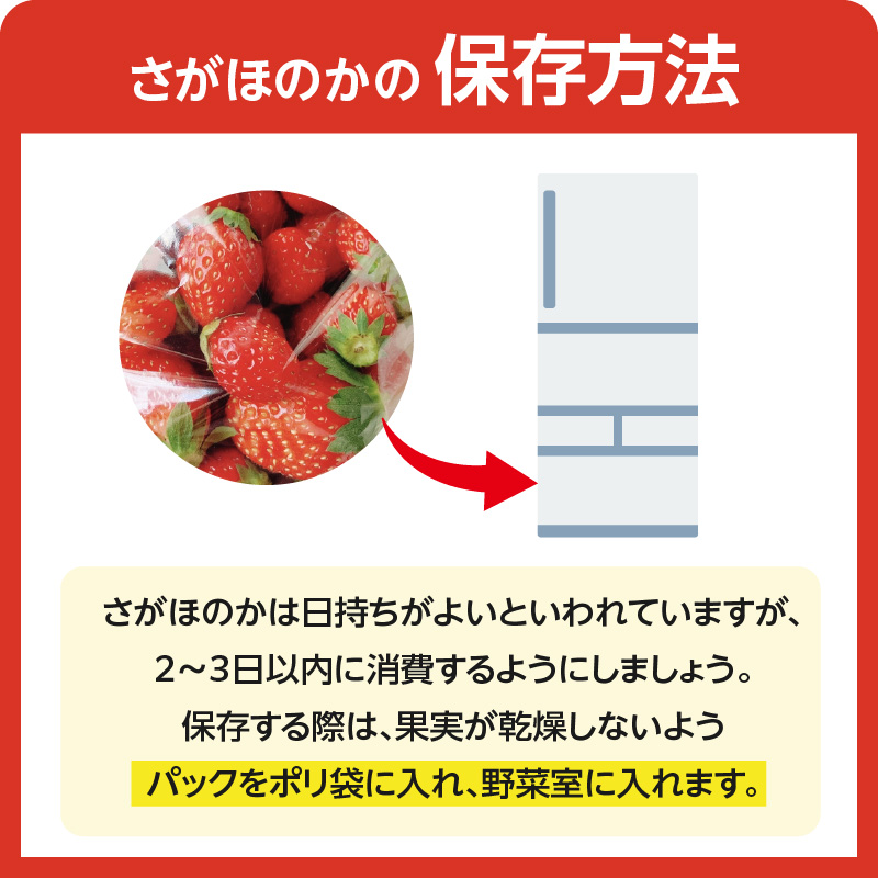 ★予約受付★平川いちご農園 佐賀県玄海町産いちご「さがほのか」2026年1月～4月順次配送