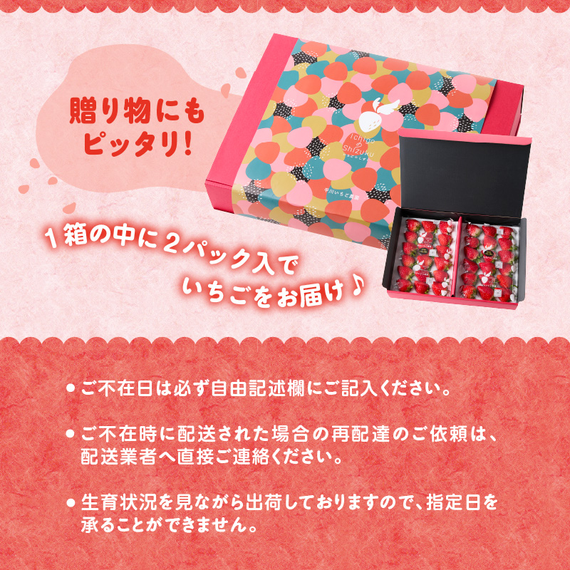 ★予約受付★平川いちご農園 佐賀県玄海町産いちご「いちごさんDX」2026年1月～4月順次配送