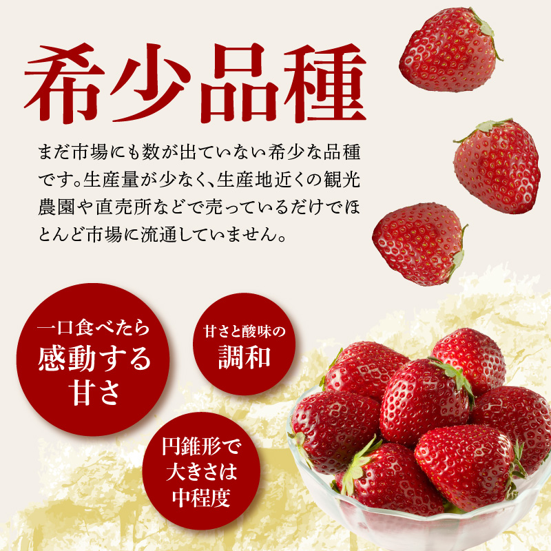 ★予約受付★杉山いちご農園 玄海町産いちご“真紅の美鈴（しんくのみすず）”毎月定期便