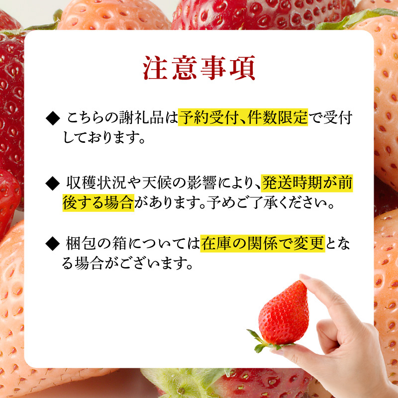 ★予約受付★杉山いちご農園 玄海町産いちご　ミックス定期便DX ミックス定期便DX