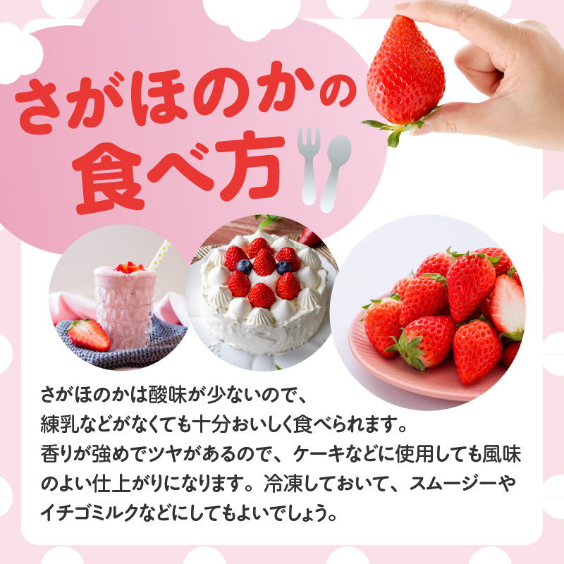 ★予約受付★杉山いちご農園 佐賀県玄海町産「さがほのか」毎月定期便 さがほのか定期便