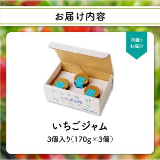 いちごジャム3瓶セット（いちごさん） 3瓶（いちごさん）