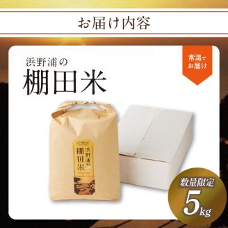 浜野浦の棚田米 5kg ／ 米 お米 精米 白米 新米 ご飯 棚田 産地直送 数量限定 佐賀県 玄海町 常温 5kg