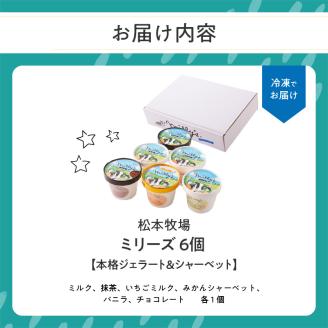 松本牧場アイス定期便（6個入り×2回） ～本格ジェラート＆シャーベット～ 6個×2回