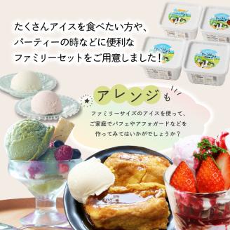 松本牧場アイス定期便　本格ジェラートファミリーセット（500ml×4個×3回） ［500ml×4個］×3回