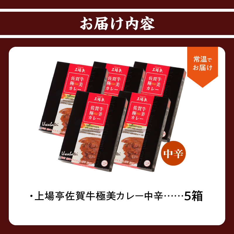 佐賀牛極美カレー（中辛）【200ｇ×5箱】