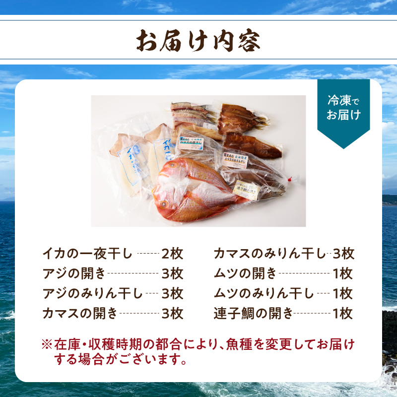 玄界灘の恵　干物8種盛り