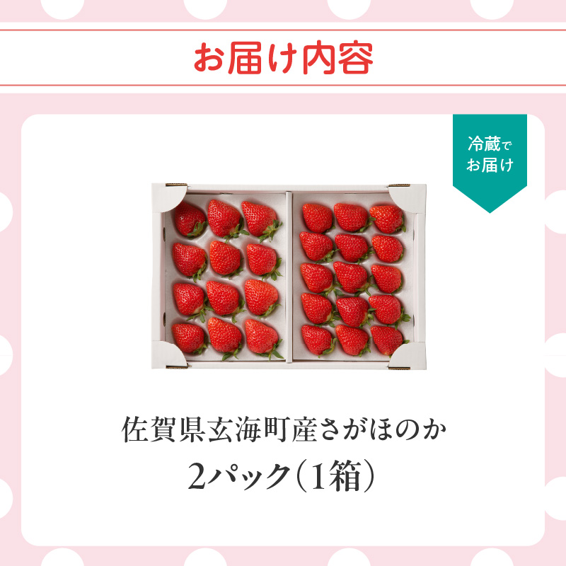 ★予約受付★佐賀県玄海町産さがほのか（2026年1月～5月中にお届け） 【通常】1箱（2パック）