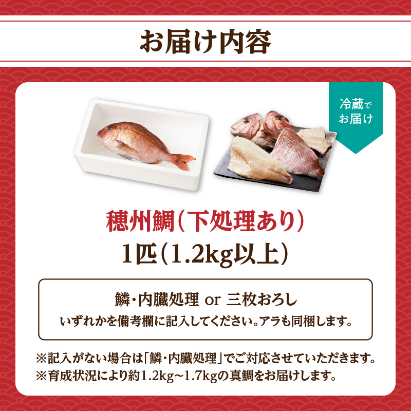 渡邊水産 穂州鯛（下処理あり）