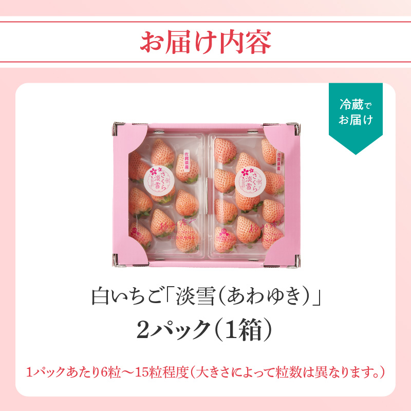 ★予約受付★杉山いちご農園 白いちご「淡雪（あわゆき）」2026年1月～5月中に順次配送 1箱2パック