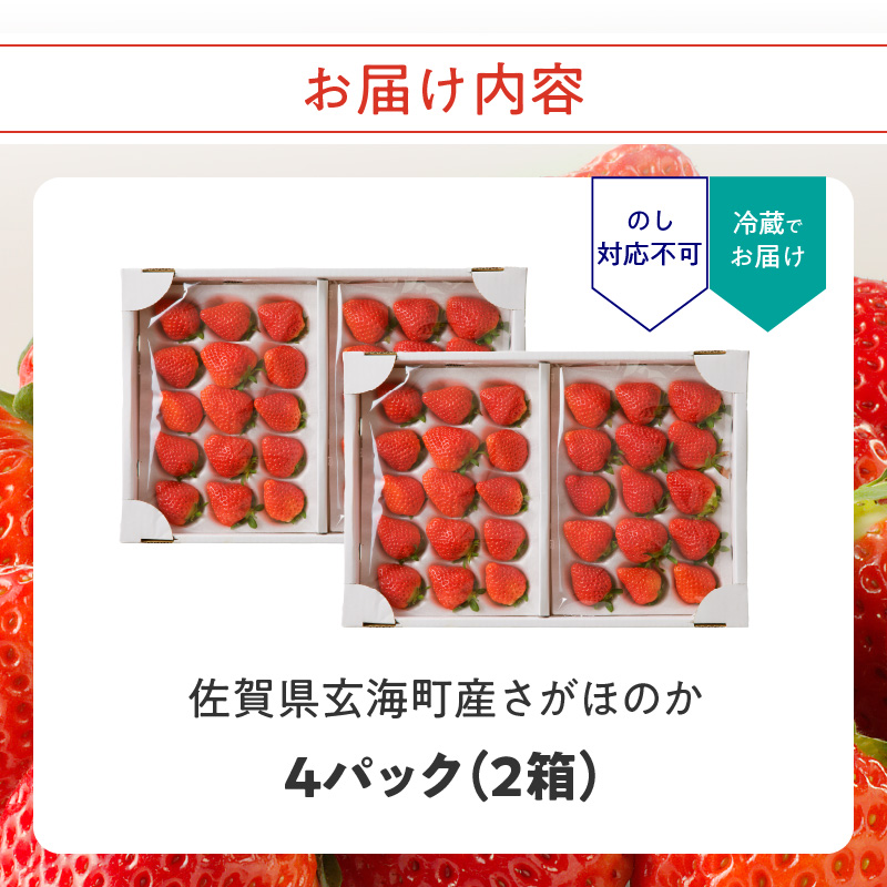 ★予約受付★渡邉農園 佐賀県玄海町産さがほのかDX（2026年1月～4月中にお届け） 2箱（4パック）