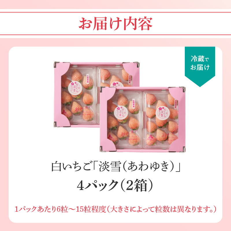 ★予約受付★杉山いちご農園 白いちご「淡雪（あわゆき）DX」2026年1月～4月中に順次配送 2箱4パック