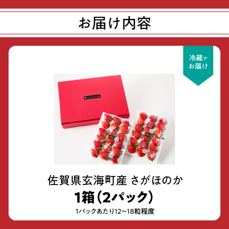 ★予約受付★平川いちご農園 佐賀県玄海町産いちご「さがほのか」2026年1月～4月順次配送