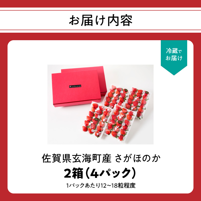 ★予約受付★平川いちご農園 佐賀県玄海町産いちご「さがほのかDX」2026年1月～4月順次配送