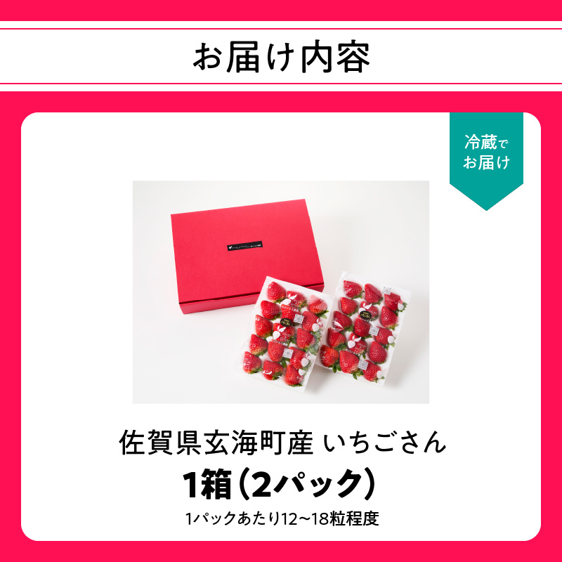 ★予約受付★平川いちご農園 佐賀県玄海町産いちご「いちごさん」2026年1月～4月順次配送