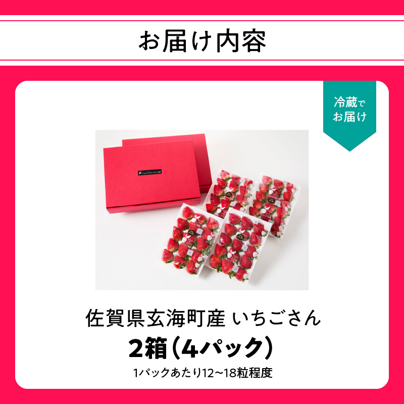 ★予約受付★平川いちご農園 佐賀県玄海町産いちご「いちごさんDX」2026年1月～4月順次配送