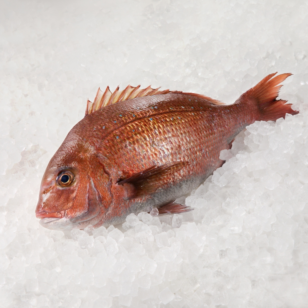 玄海町よりどり定期便（梅） よりどり（梅）