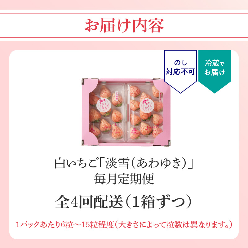 ★予約受付★杉山いちご農園 玄海町産いちご“淡雪（あわゆき）”　毎月定期便 定期便（1箱2パック）