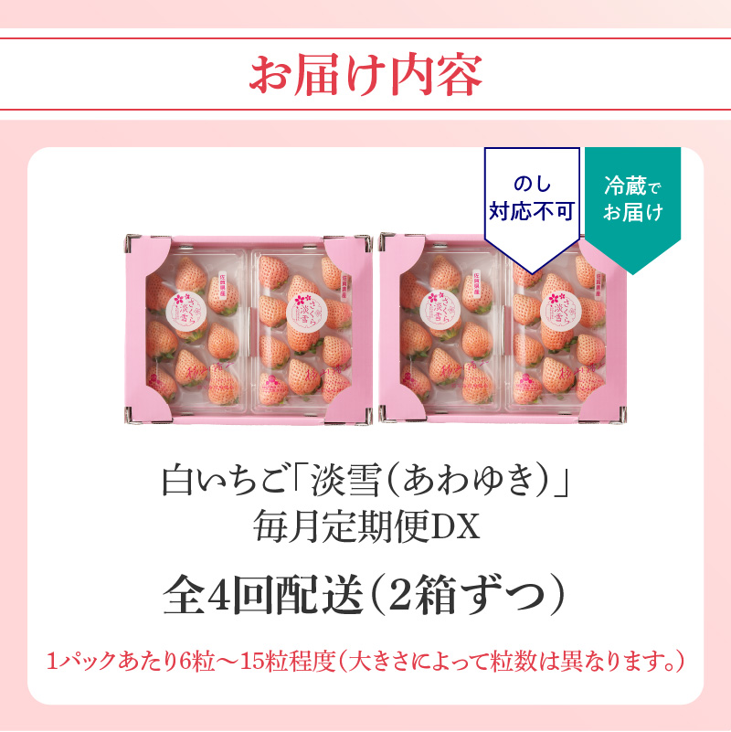 ★予約受付★杉山いちご農園 玄海町産いちご“淡雪（あわゆき）”　毎月定期便DX 定期便（2箱4パック）