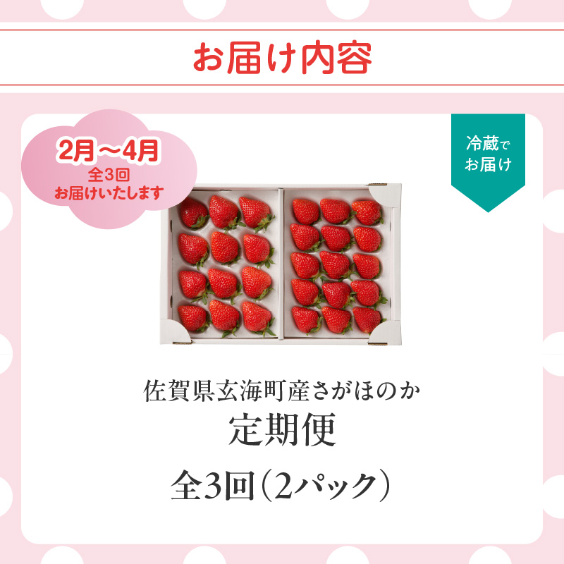 ★予約受付★杉山いちご農園 佐賀県玄海町産「さがほのか」毎月定期便 さがほのか定期便