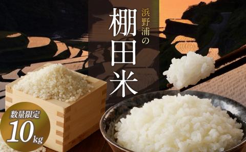浜野浦の棚田米 10kg 10kg