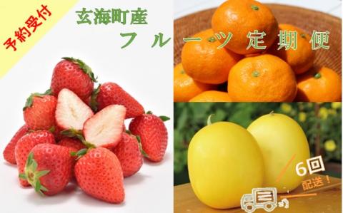 【定期便6回】旬のフルーツ定期便 ／ いちご キンショウメロン ハウスみかん 温室みかん イチゴ 苺 さがほのか 淡雪 真紅の美鈴 白いちご 黒いちご 果物 定期便 セット 冷蔵 佐賀県 玄海町