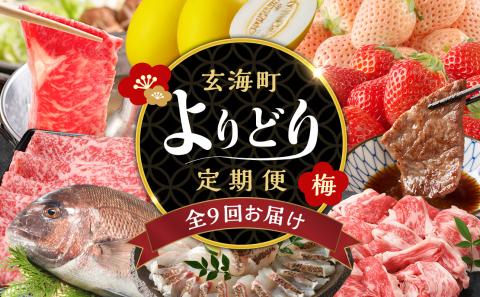 玄海町よりどり定期便（梅） よりどり（梅）