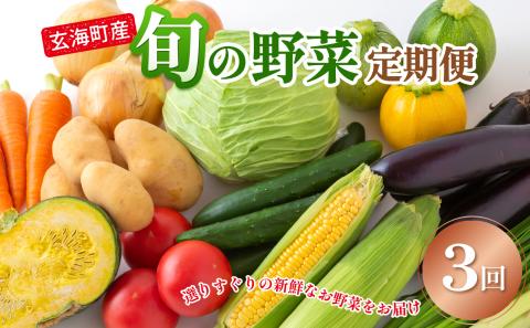 旬の野菜定期便　3か月