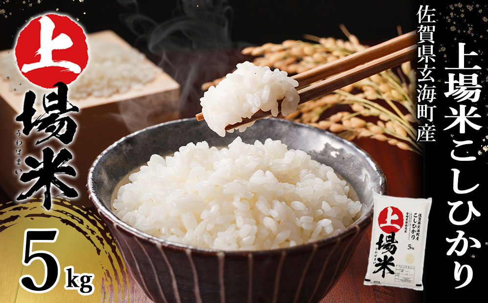佐賀県玄海町産こしひかり 上場米 5kg 白米 5kg