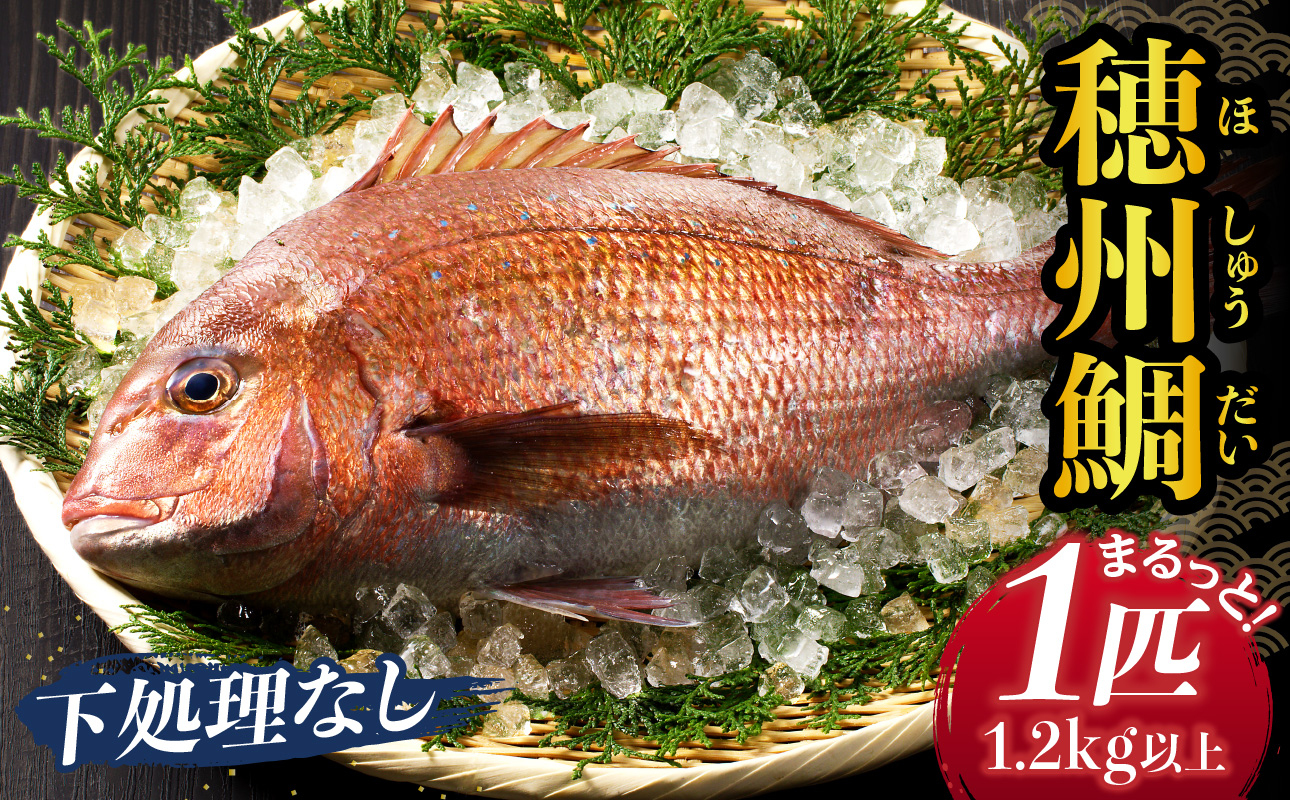 渡邊水産 穂州鯛（下処理なし）／ ブランド鯛 産地直送 まるごと 1尾 1匹 新鮮 鮮魚 真鯛 マダイ 鯛 タイ 鯛しゃぶ 鯛茶漬け 鯛めし 刺身 塩焼き 煮付け 魚 魚介 海鮮 養殖 国産 佐賀県 玄海町 冷蔵