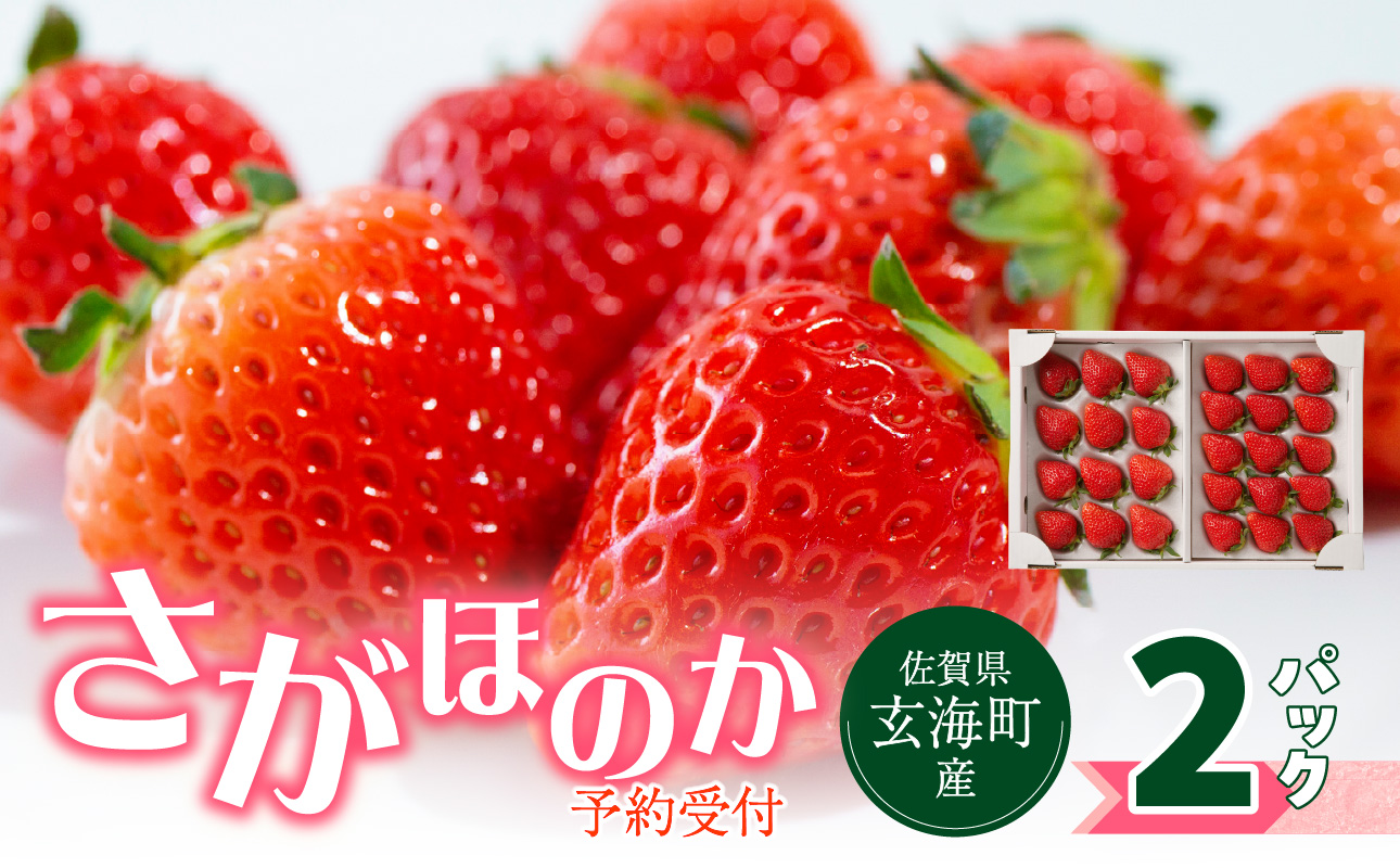 ★予約受付★佐賀県玄海町産さがほのか（2026年1月～5月中にお届け） 【通常】1箱（2パック）