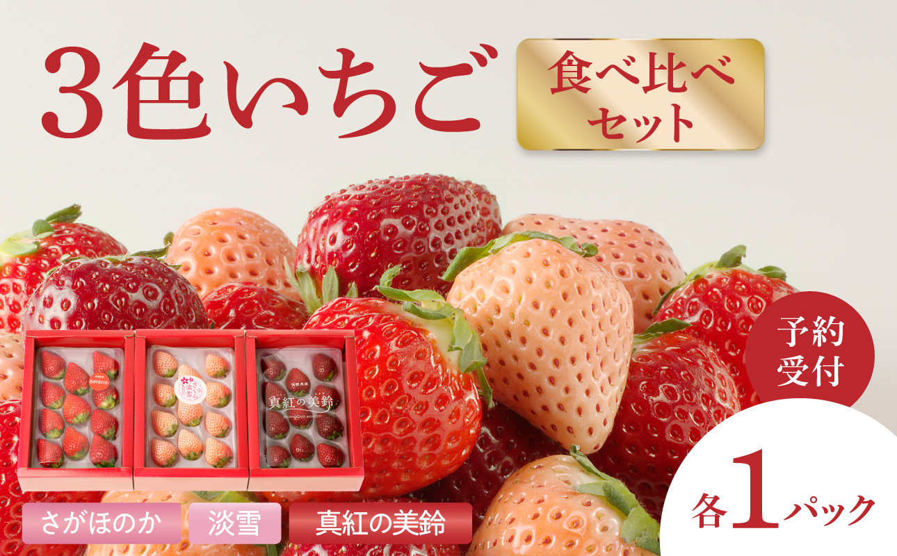 ★予約受付★杉山いちご農園 豪華！3色いちご食べ比べセット　2026年1月～5月中に順次配送