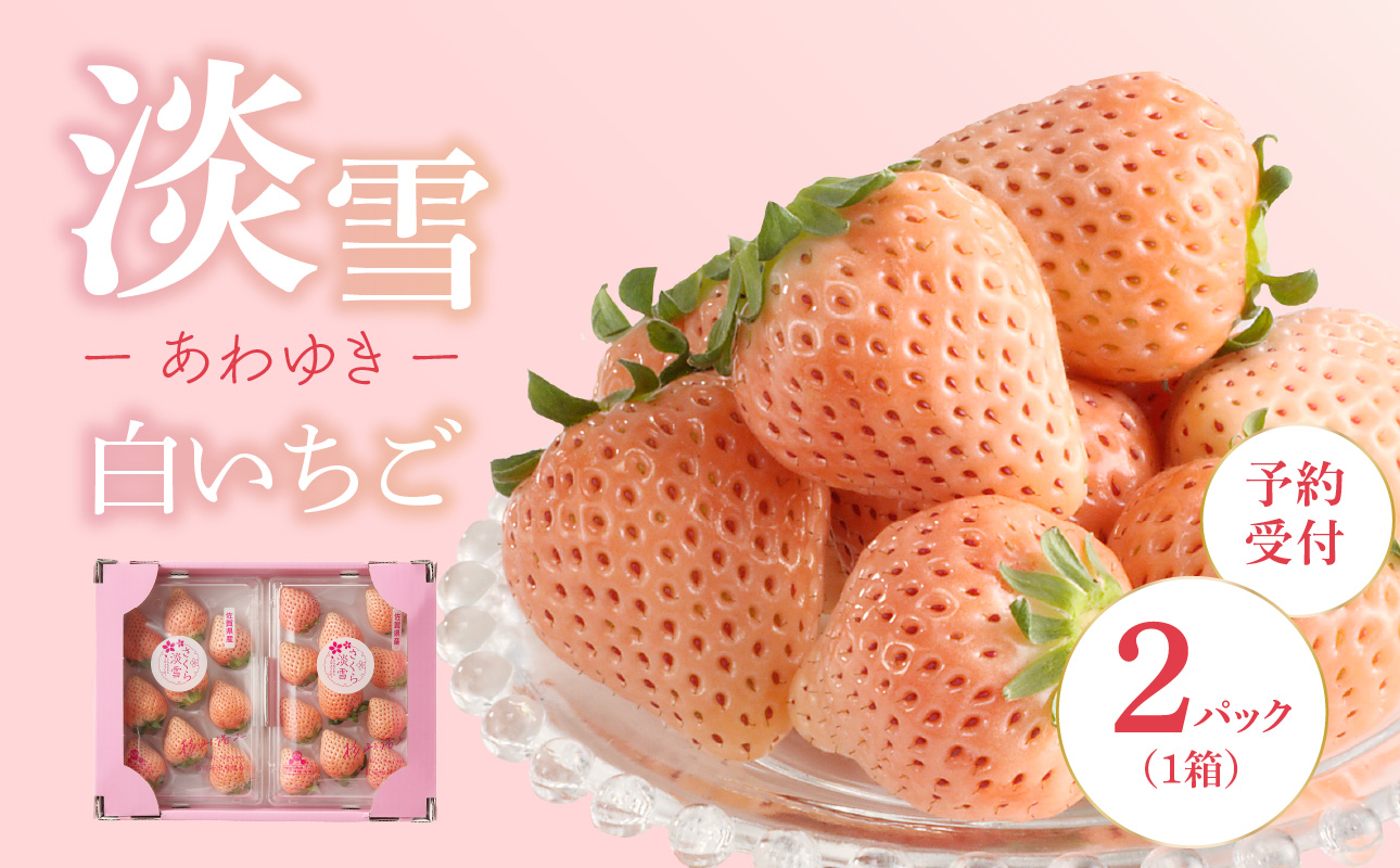 ★予約受付★杉山いちご農園 白いちご「淡雪（あわゆき）」2026年1月～5月中に順次配送 1箱2パック