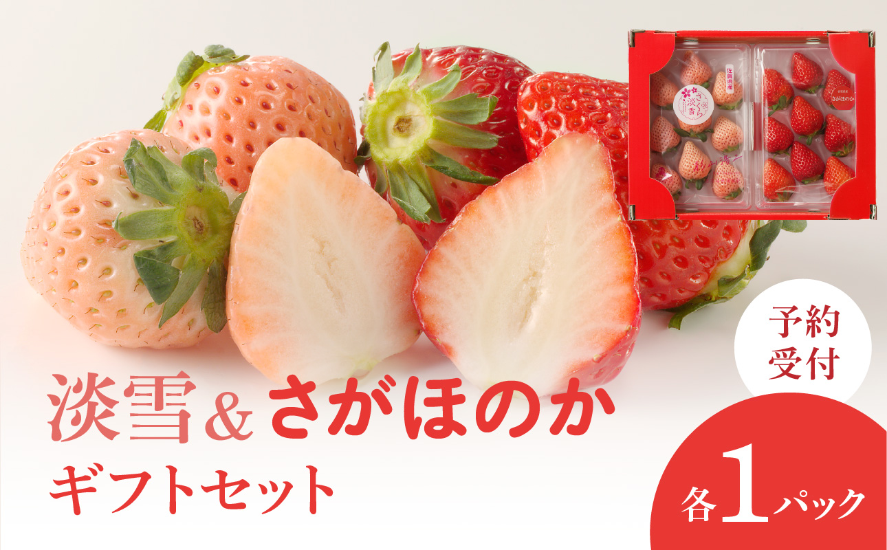 ★予約受付★杉山いちご農園 希少！白いちご「淡雪（あわゆき）」と「さがほのか」ギフトセット　2026年1月～5月中に順次配送