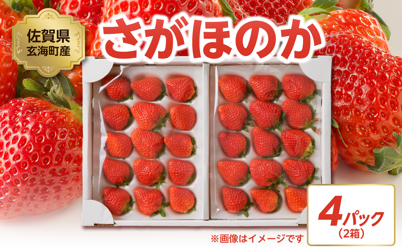 ★予約受付★渡邉農園 佐賀県玄海町産さがほのかDX（2026年1月～4月中にお届け） 2箱（4パック）