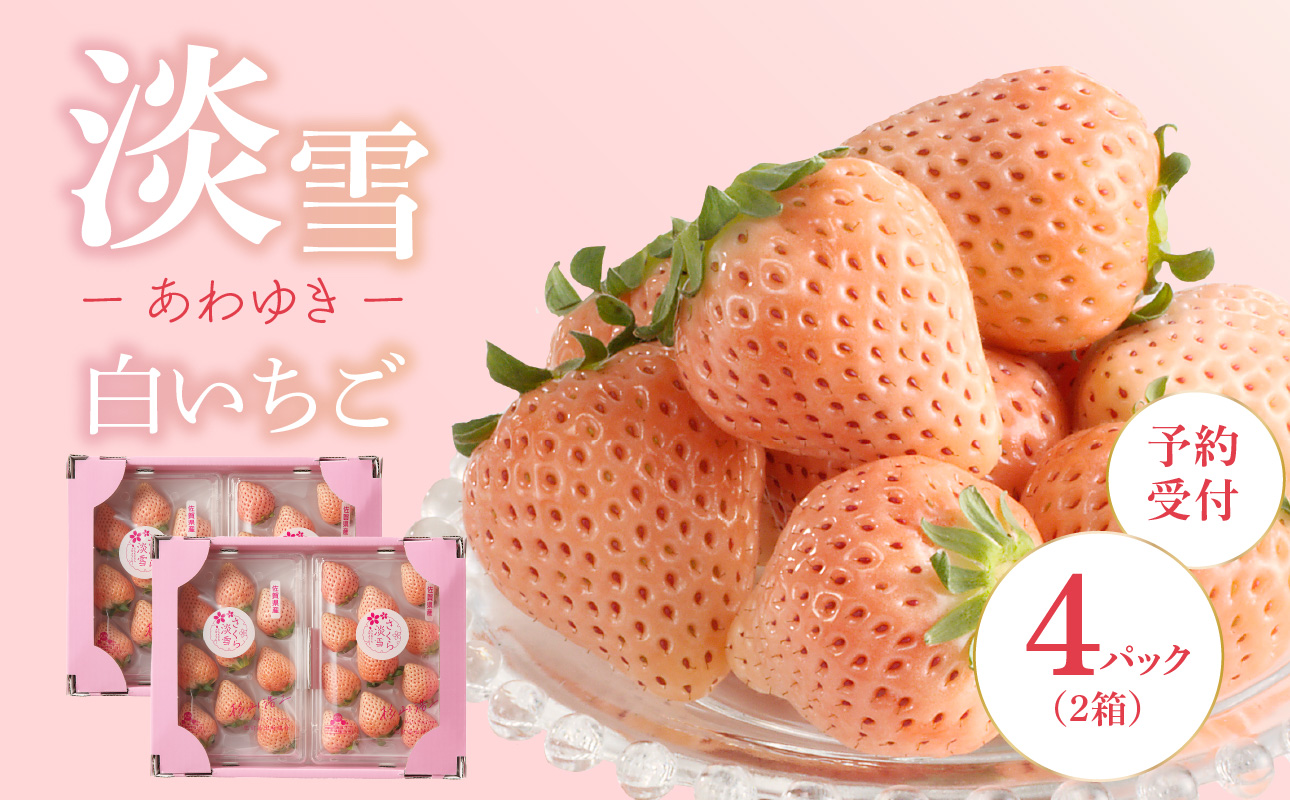 ★予約受付★杉山いちご農園 白いちご「淡雪（あわゆき）DX」2026年1月～4月中に順次配送 2箱4パック