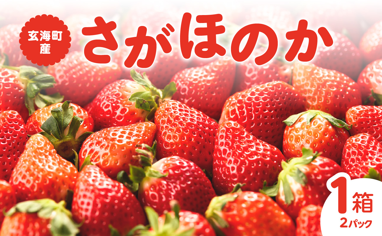 ★予約受付★平川いちご農園 佐賀県玄海町産いちご「さがほのか」2026年1月～4月順次配送