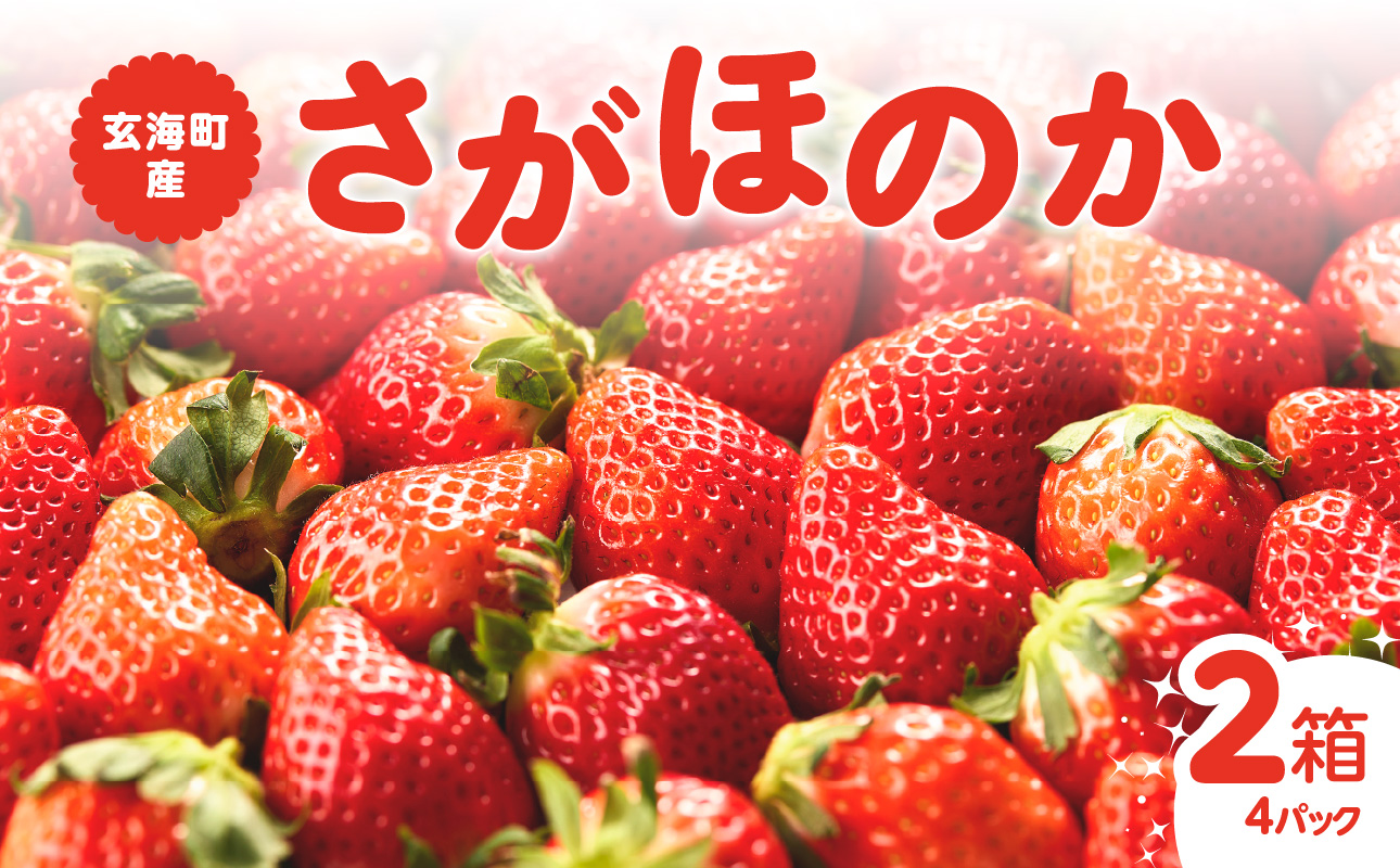 ★予約受付★平川いちご農園 佐賀県玄海町産いちご「さがほのかDX」2026年1月～4月順次配送