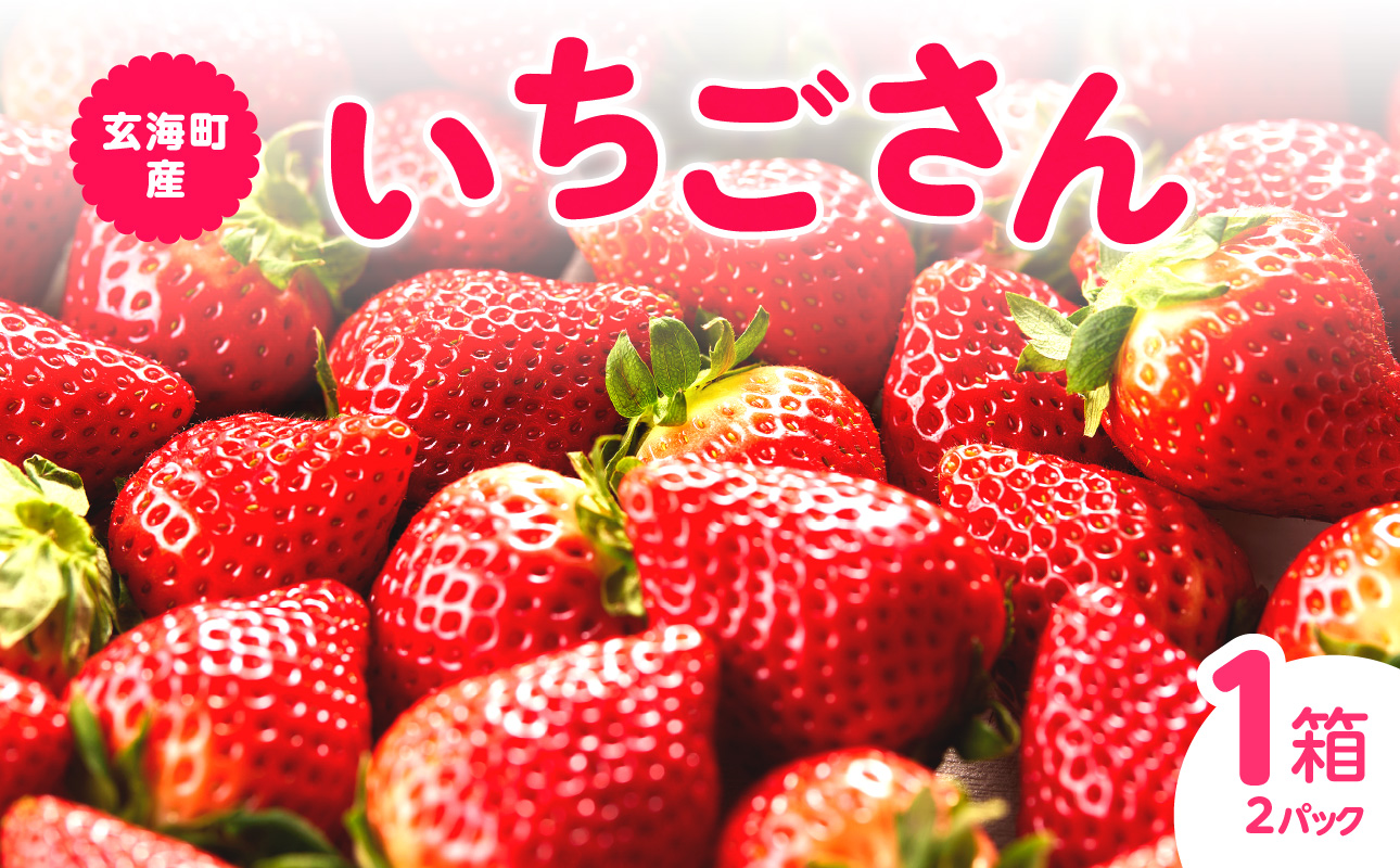 ★予約受付★平川いちご農園 佐賀県玄海町産いちご「いちごさん」2026年1月～4月順次配送