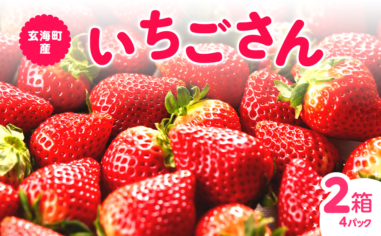 ★予約受付★平川いちご農園 佐賀県玄海町産いちご「いちごさんDX」2026年1月～4月順次配送