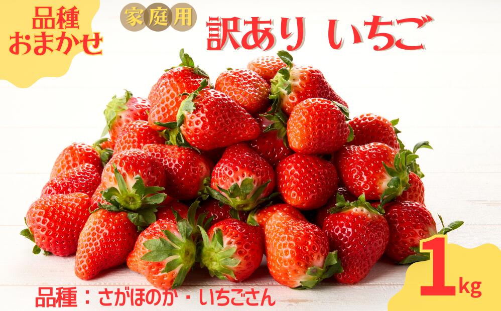 ★予約受付★平川いちご農園【2026年1月～5月 順次配送】玄海町産いちご（家庭用・訳あり）1kg ／ 送料無料 いちご さがほのか いちごさん 希少 果物 くだもの フルーツ デザート 予約受付 1kg
