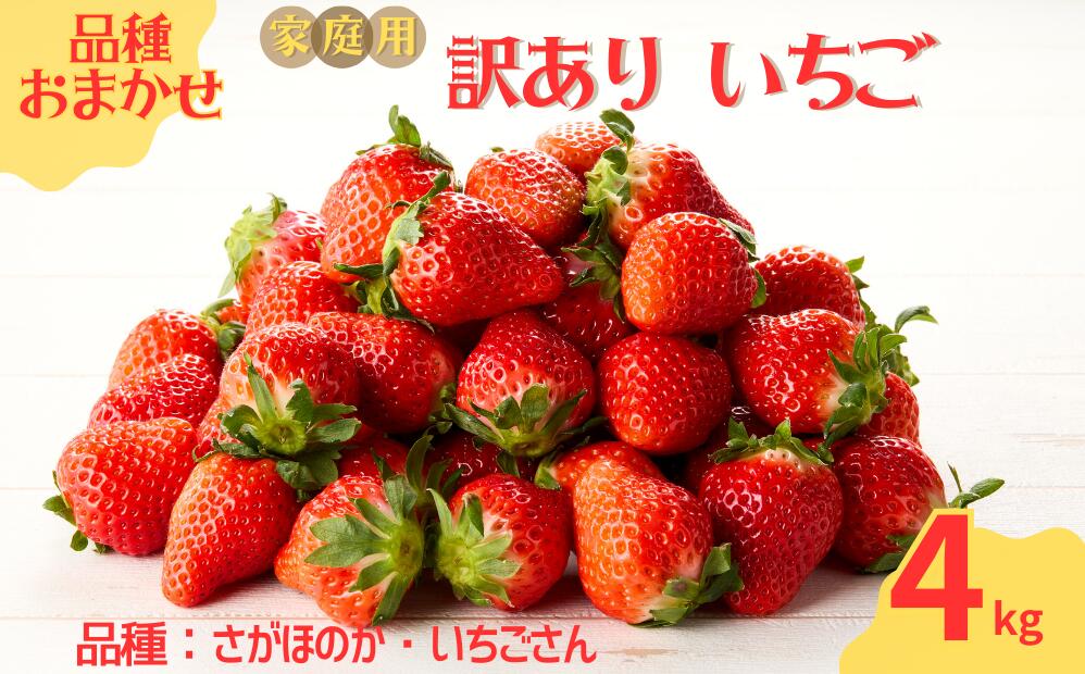 ★予約受付★平川いちご農園【2026年1月～5月 順次配送】玄海町産いちご（家庭用・訳あり）4kg ／ 送料無料 いちご さがほのか いちごさん 希少 果物 くだもの フルーツ デザート 予約受付 4kg