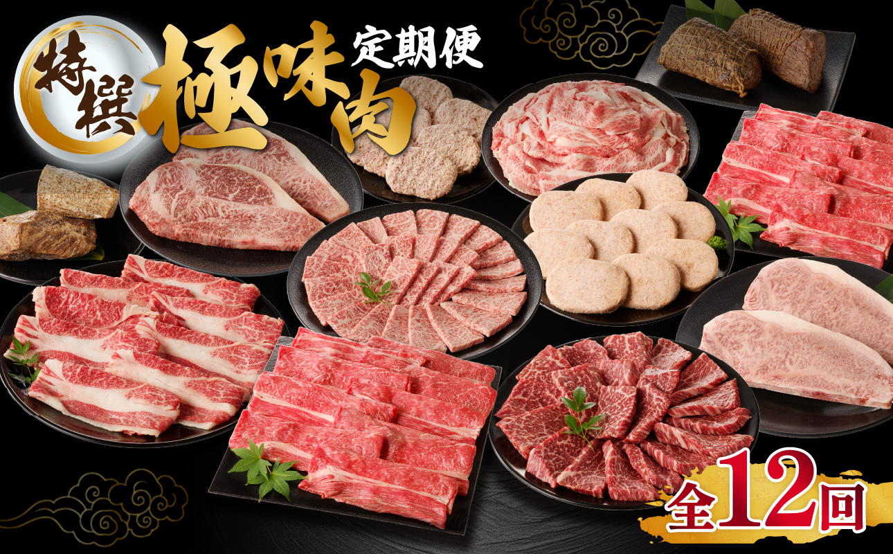 【特撰】佐賀牛・県産和牛　極味肉定期便（毎月1回　計12回お届け）／ 定期便 佐賀牛 黒毛和牛 国産 佐賀県産和牛 ロース 薄切り ハンバーグ 肩 ロース 切り落とし モモ スライス カルビ ステーキ ローストビーフ しゃぶしゃぶ すき焼き 焼肉 牛肉 肉 A5 A4 セット 佐賀県 玄海町 【特選】極味肉定期便