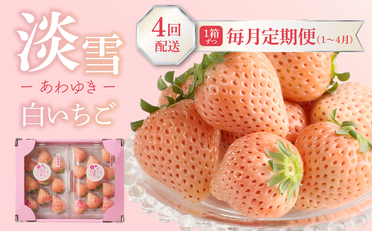 ★予約受付★杉山いちご農園 玄海町産いちご“淡雪（あわゆき）”　毎月定期便 定期便（1箱2パック）