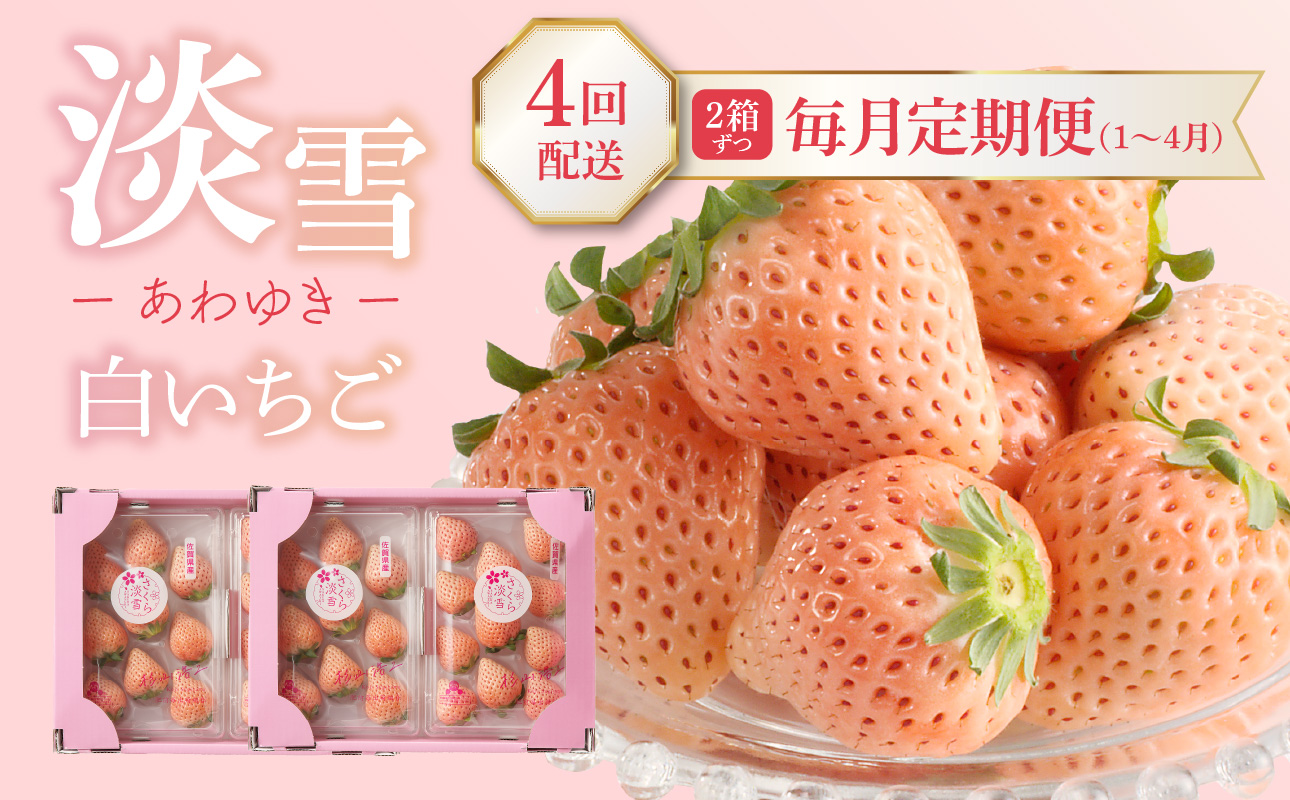 ★予約受付★杉山いちご農園 玄海町産いちご“淡雪（あわゆき）”　毎月定期便DX 定期便（2箱4パック）