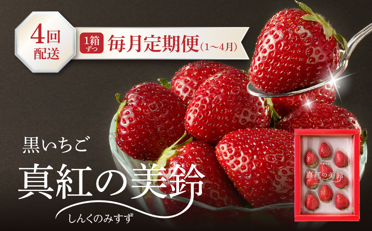 ★予約受付★杉山いちご農園 玄海町産いちご“真紅の美鈴（しんくのみすず）”毎月定期便