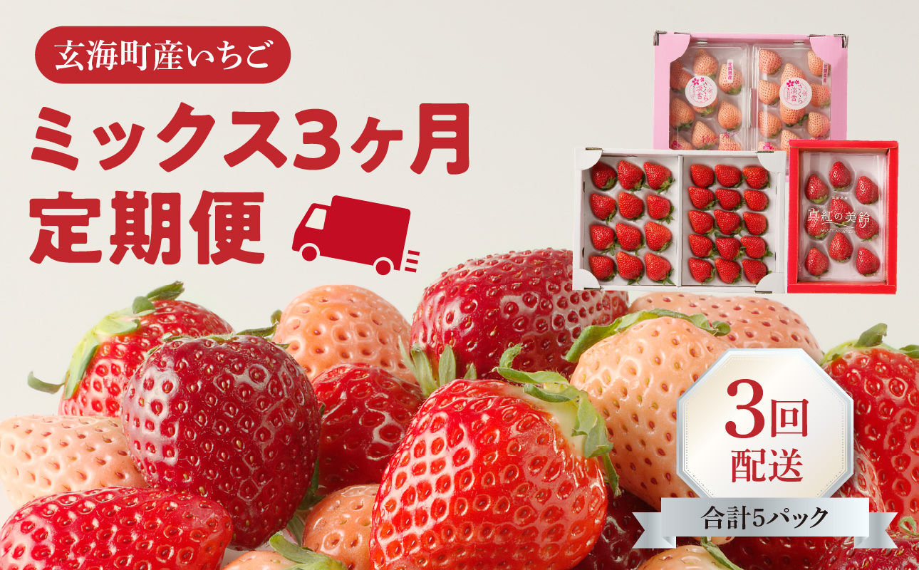 ★予約受付★杉山いちご農園 玄海町産いちご　ミックス定期便 ミックス定期便