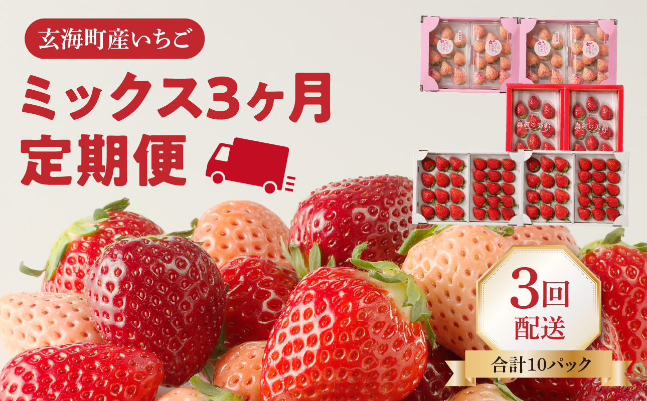 ★予約受付★杉山いちご農園 玄海町産いちご　ミックス定期便DX ミックス定期便DX