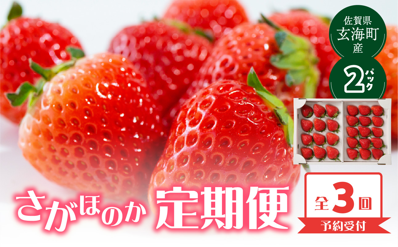 ★予約受付★杉山いちご農園 佐賀県玄海町産「さがほのか」毎月定期便 さがほのか定期便