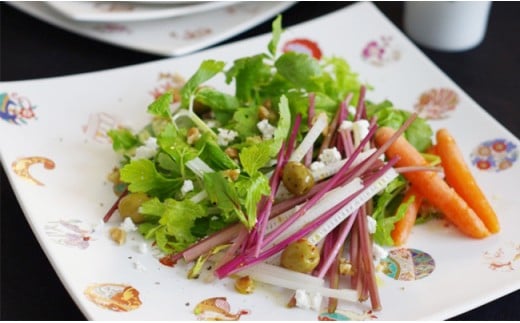 有田焼 ASTEROID(アステロイド)・正方皿(特大) APL アリタポー